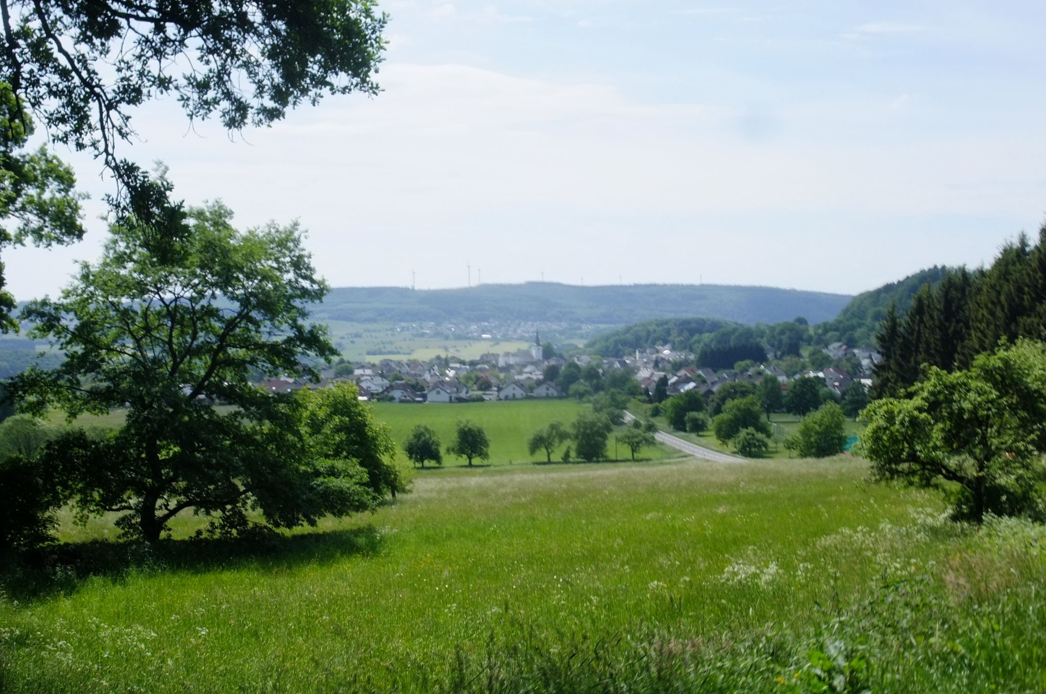 DSCF4107.JPG