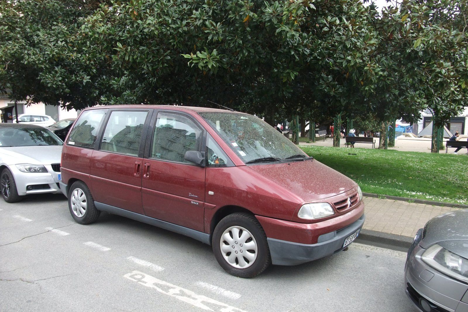DSCF4135.JPG