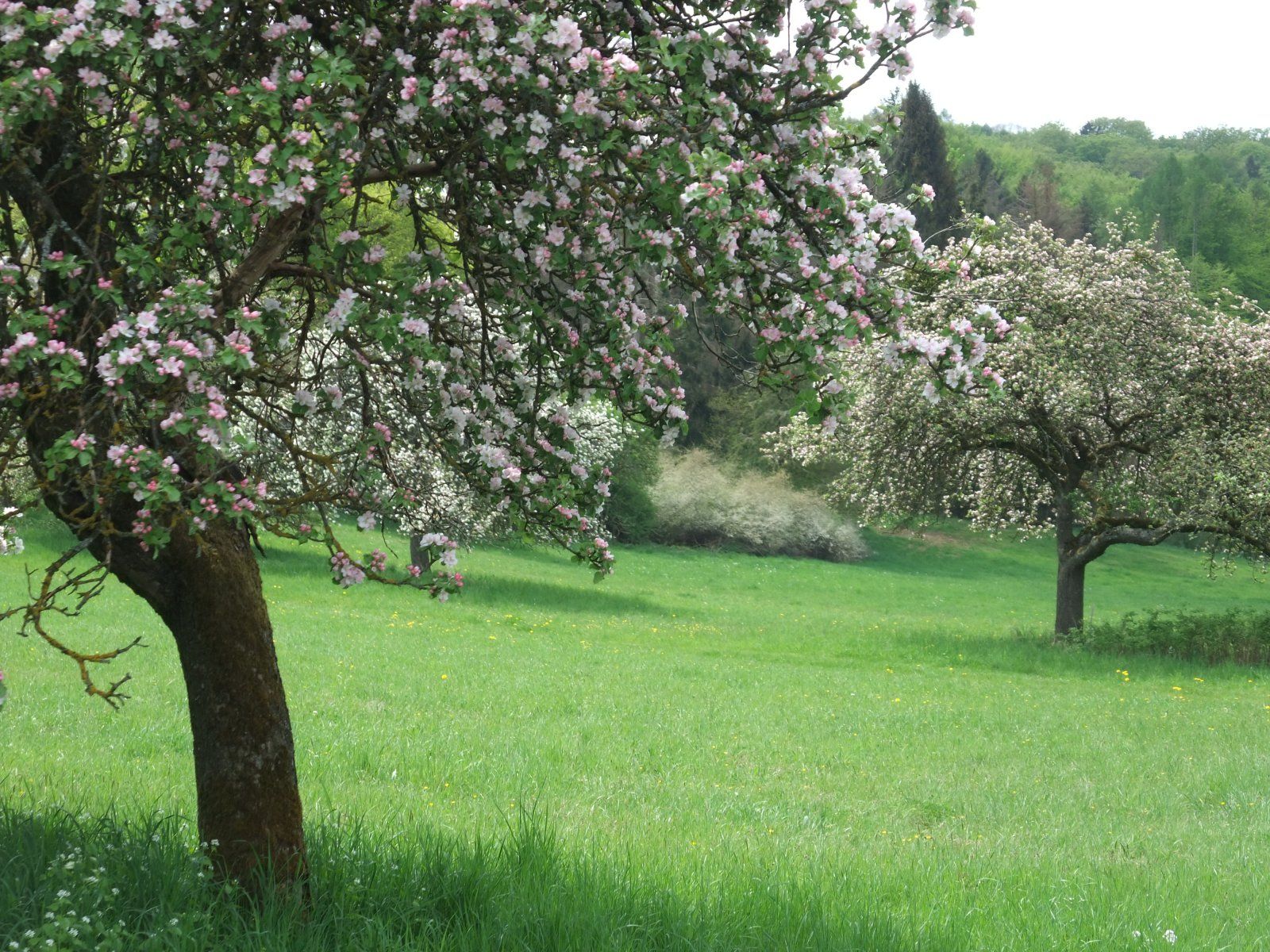 DSCF4164.JPG