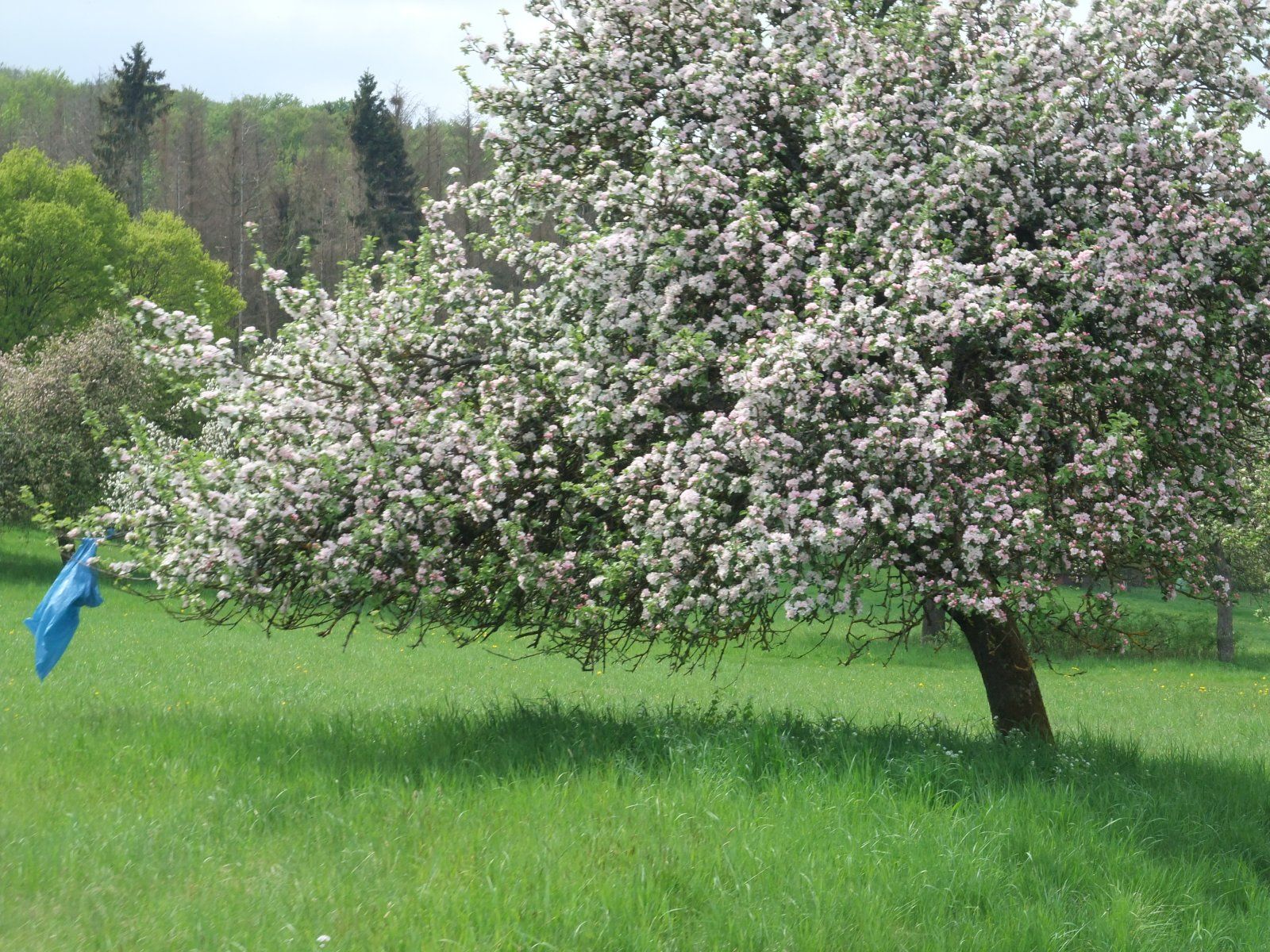 DSCF4166.JPG