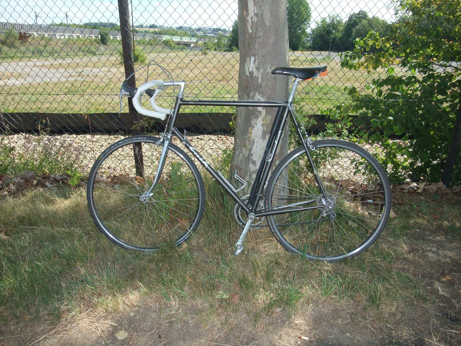 DSCF4221.JPG