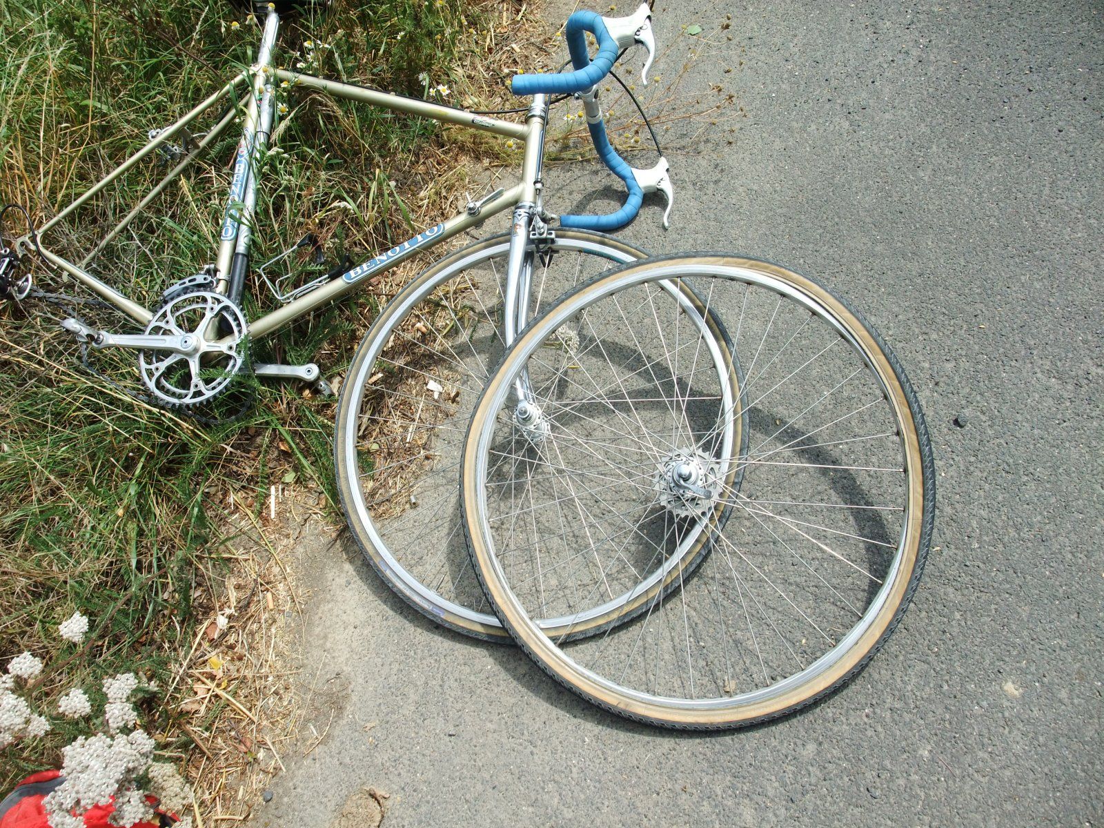 DSCF4222.JPG