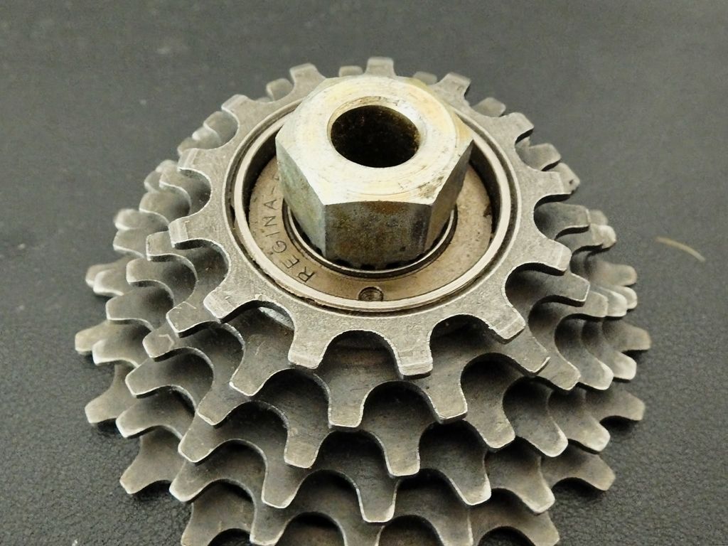 DSCF4240.jpg