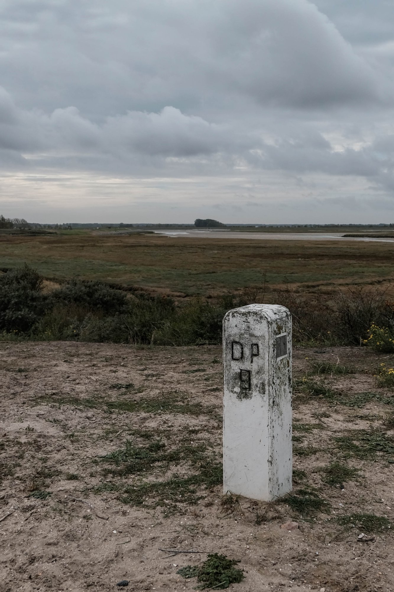 DSCF4251.jpg