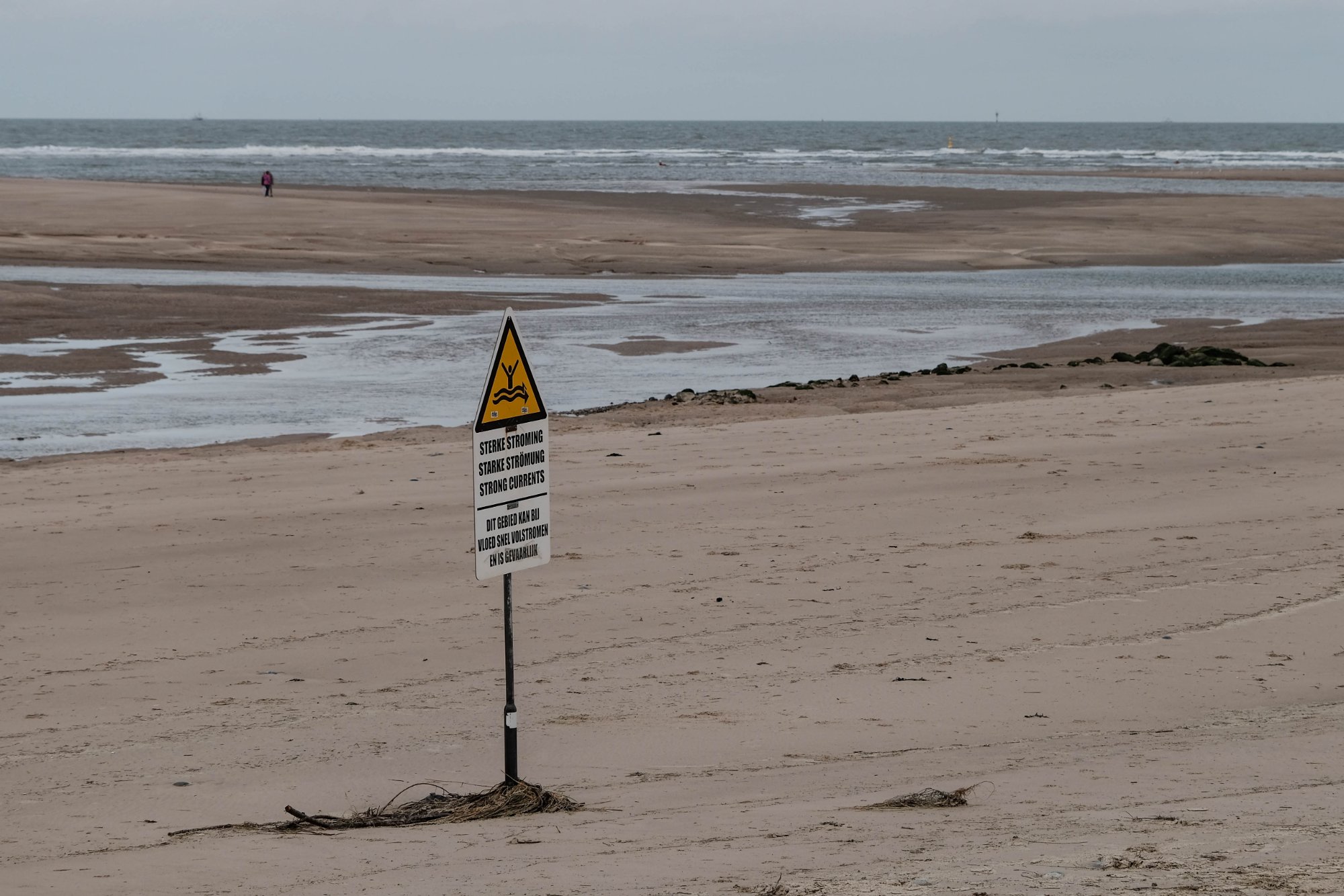 DSCF4256.jpg