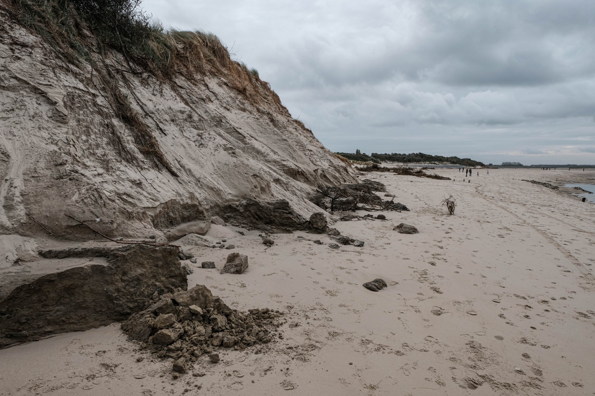 DSCF4259.jpg