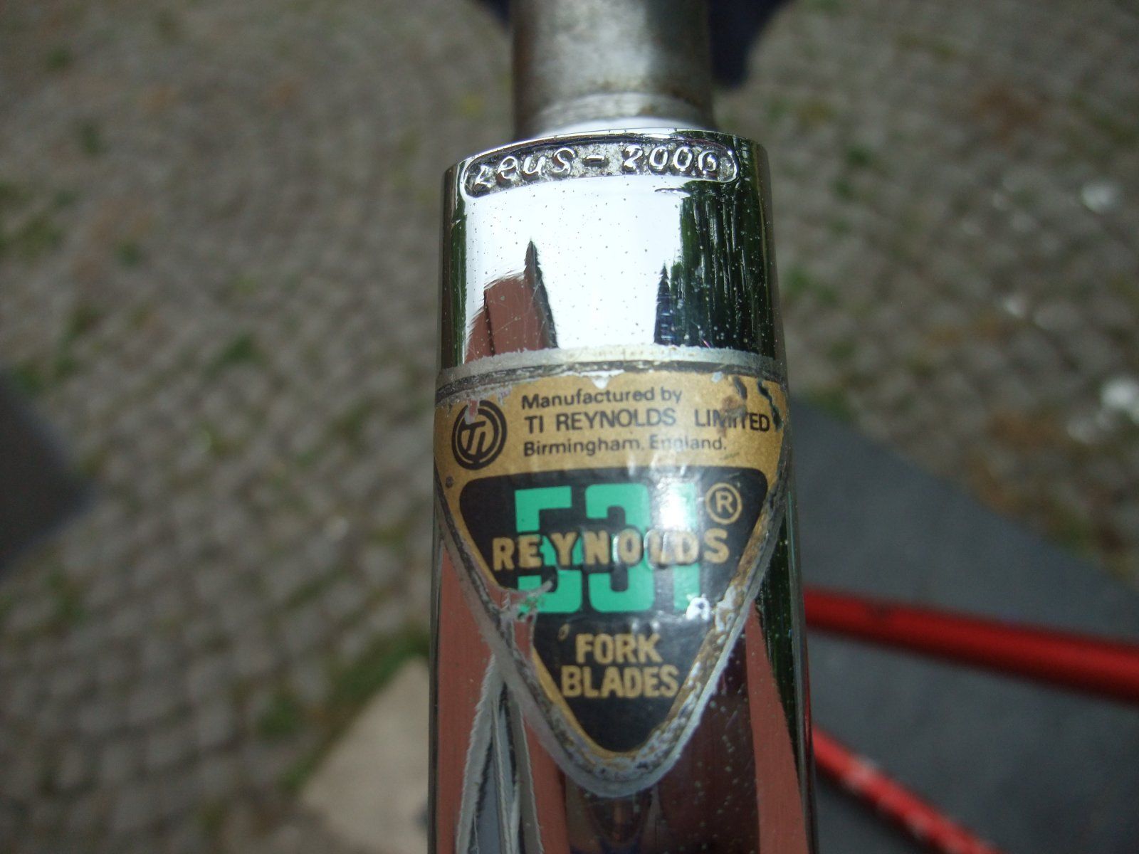 DSCF4264.JPG