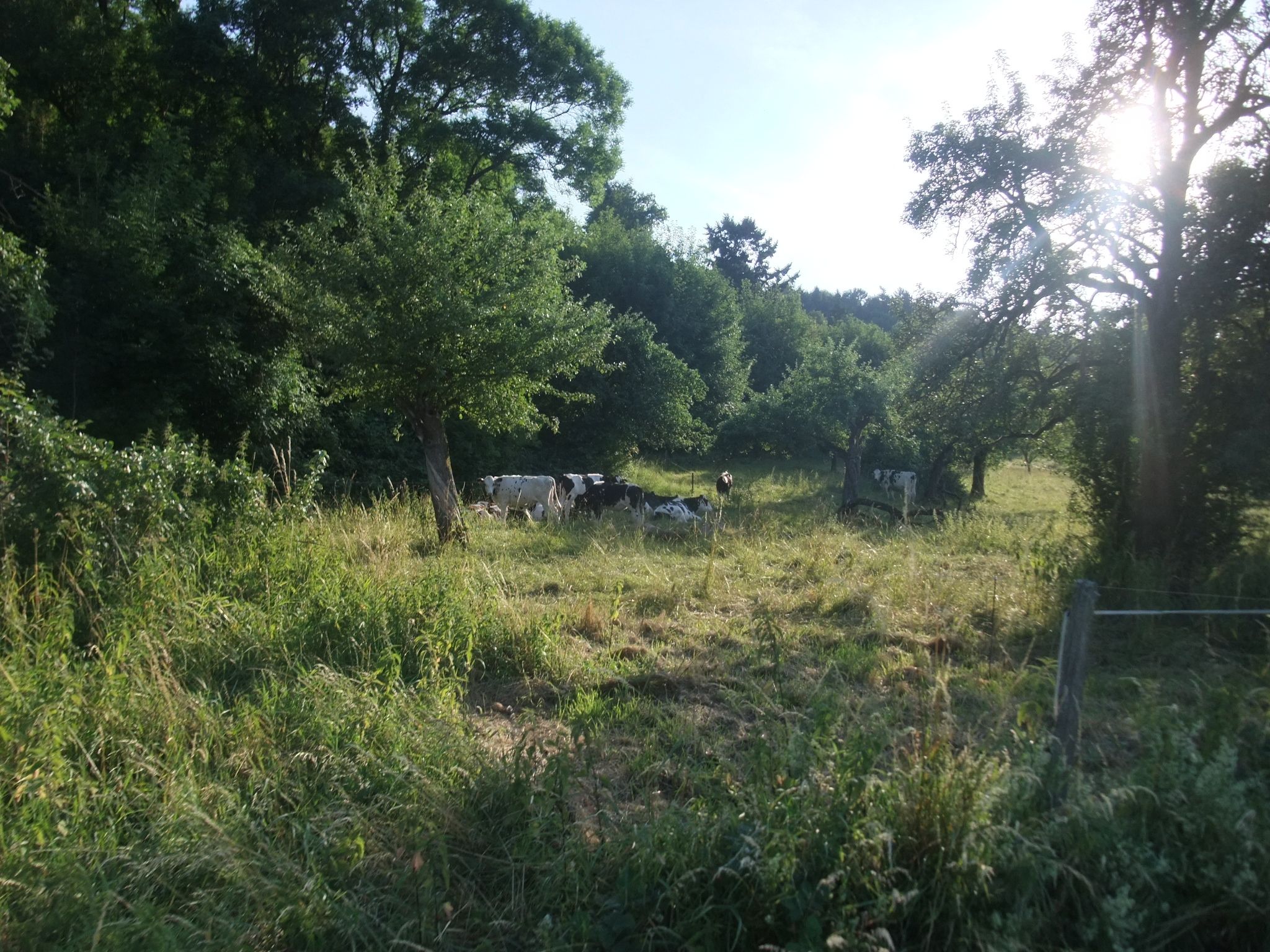 DSCF4308.JPG