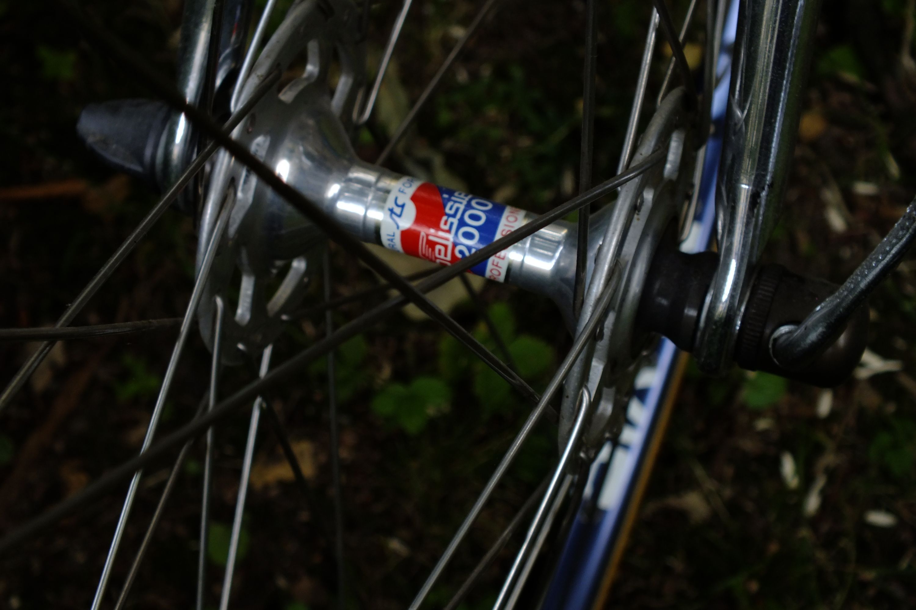 DSCF4313.jpg