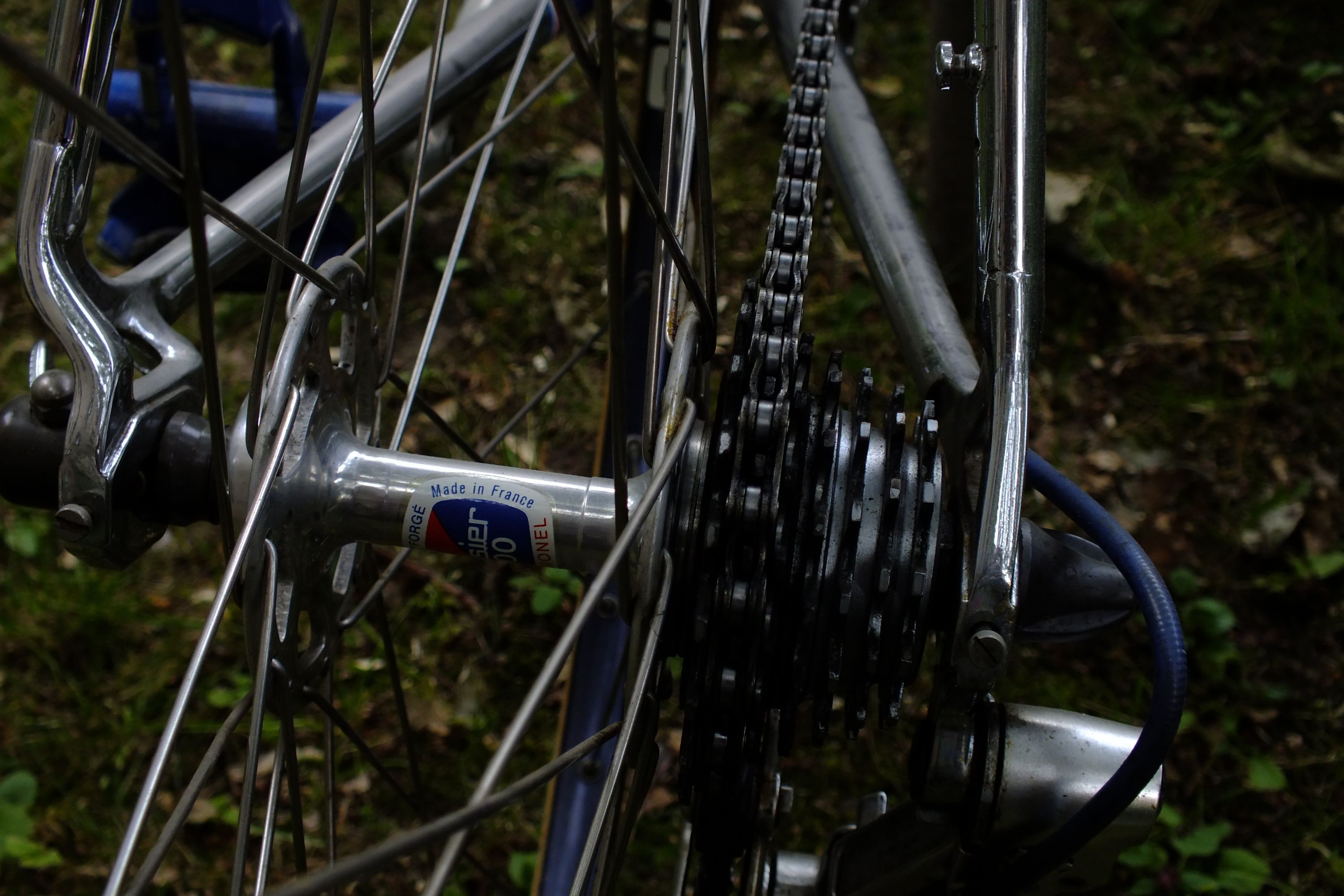 DSCF4318.jpg