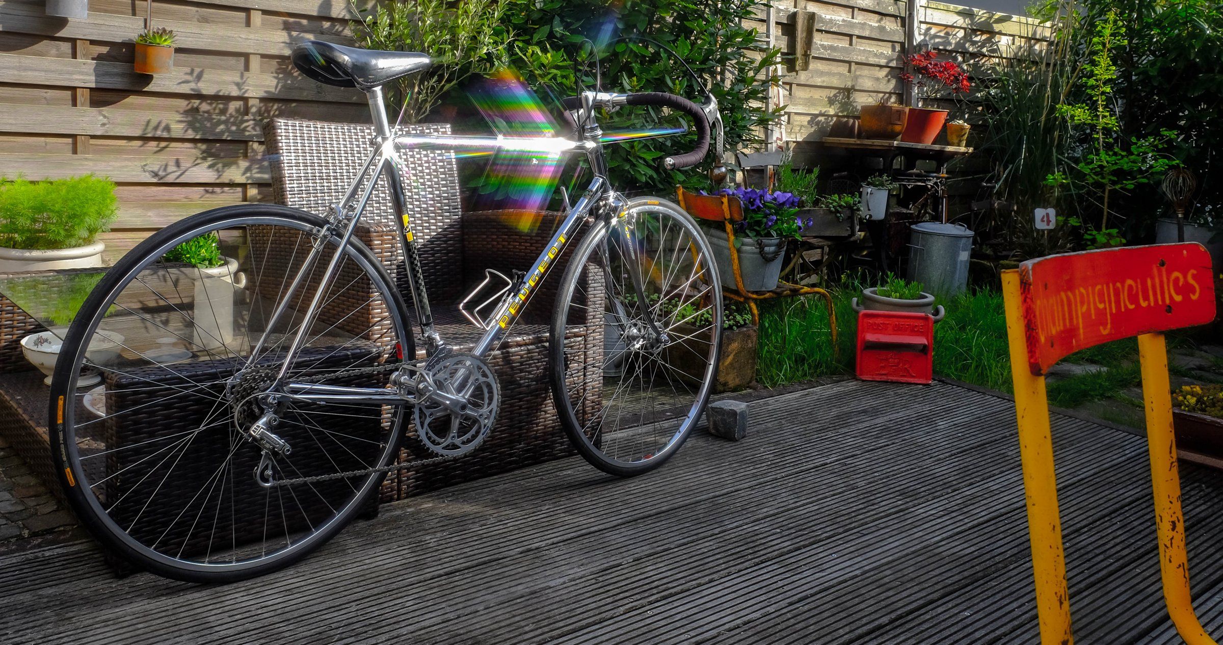 DSCF4356.jpg