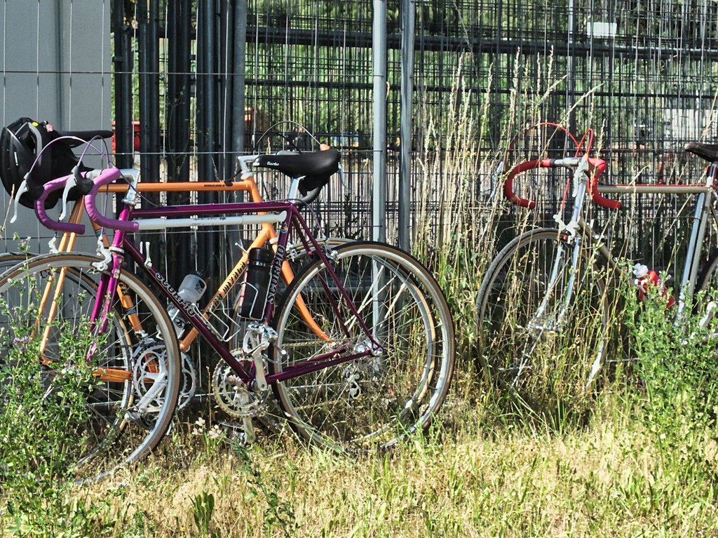 DSCF4379.jpg