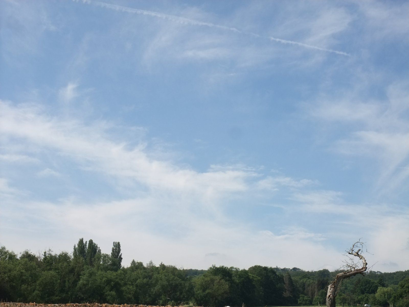 DSCF4735.JPG