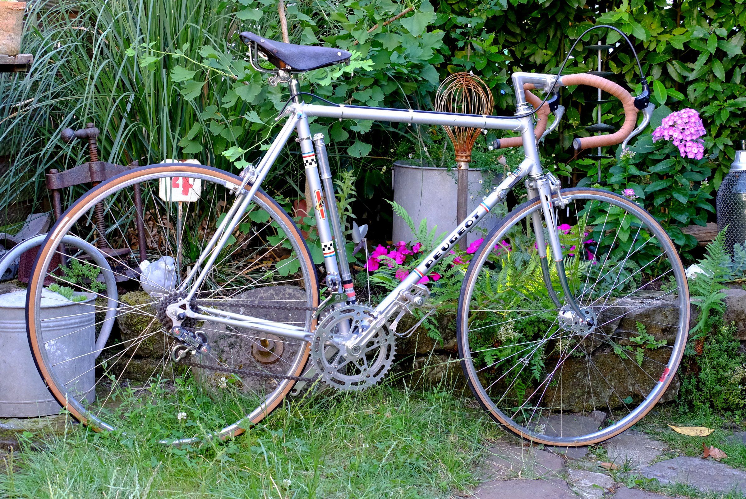 DSCF4889.JPG