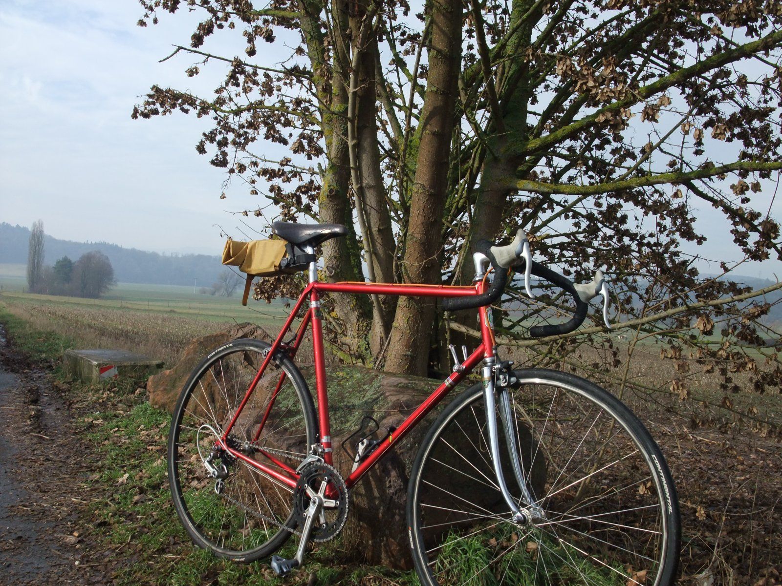 DSCF5256.JPG