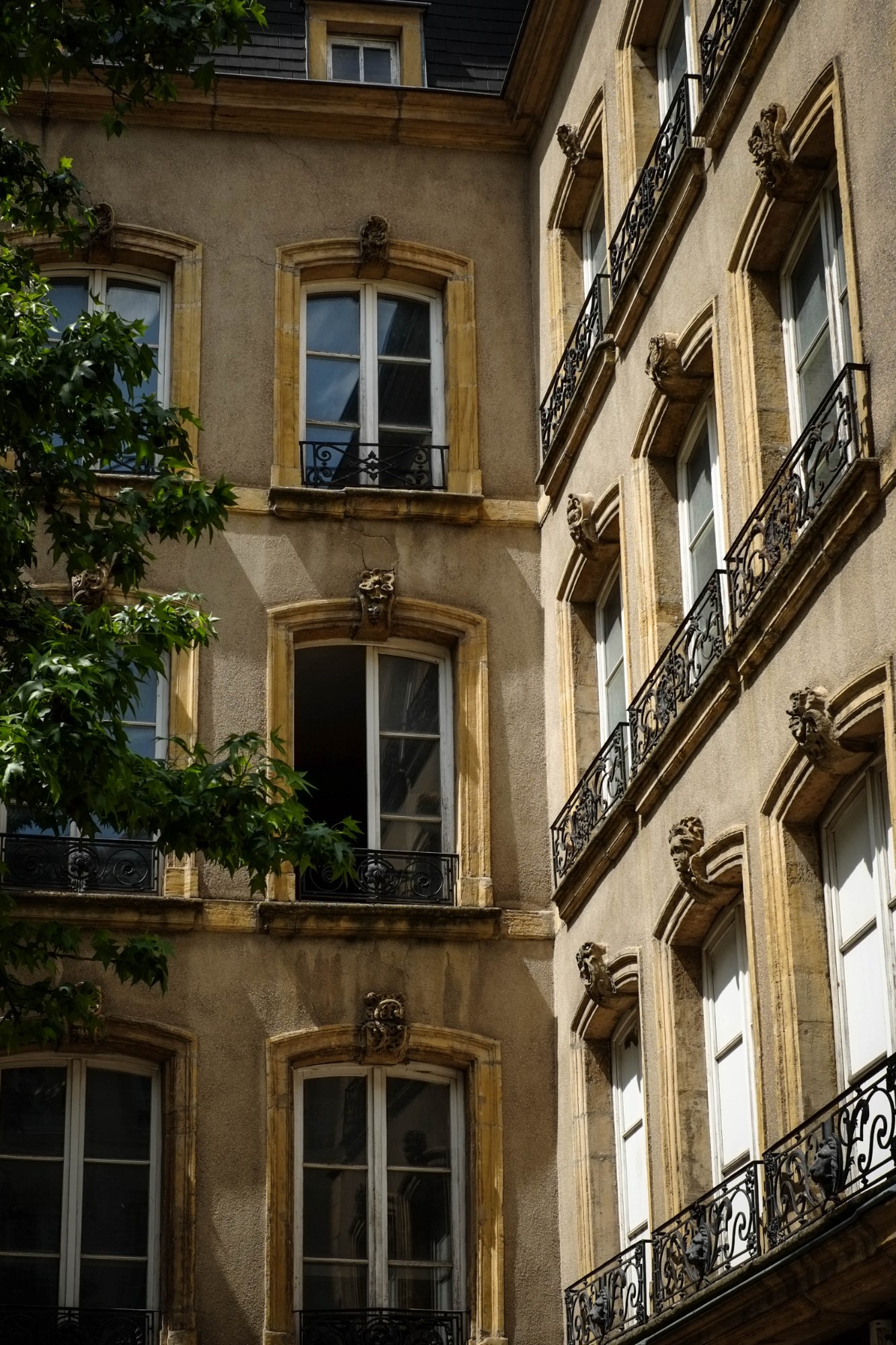 DSCF5259.jpg