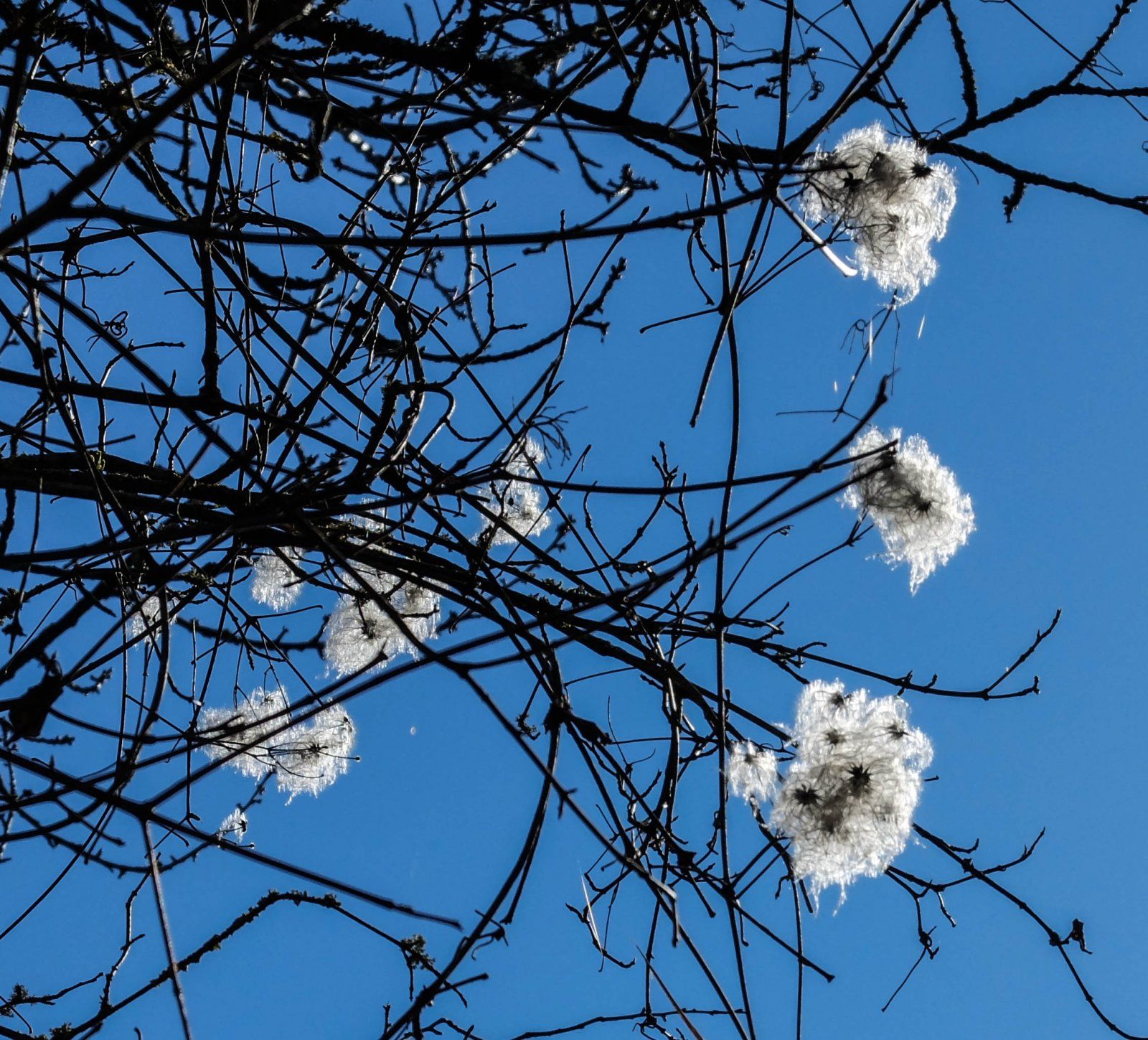 DSCF5273.jpg