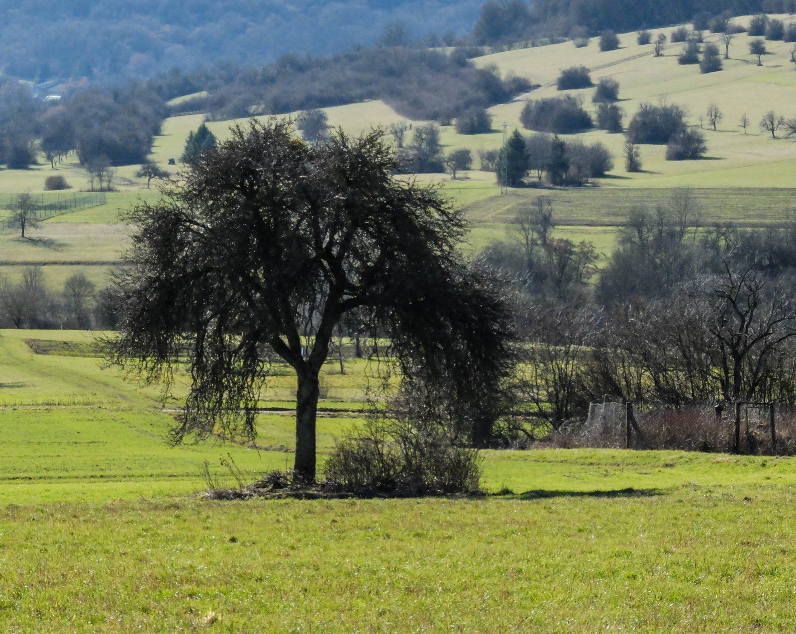 DSCF5278.jpg