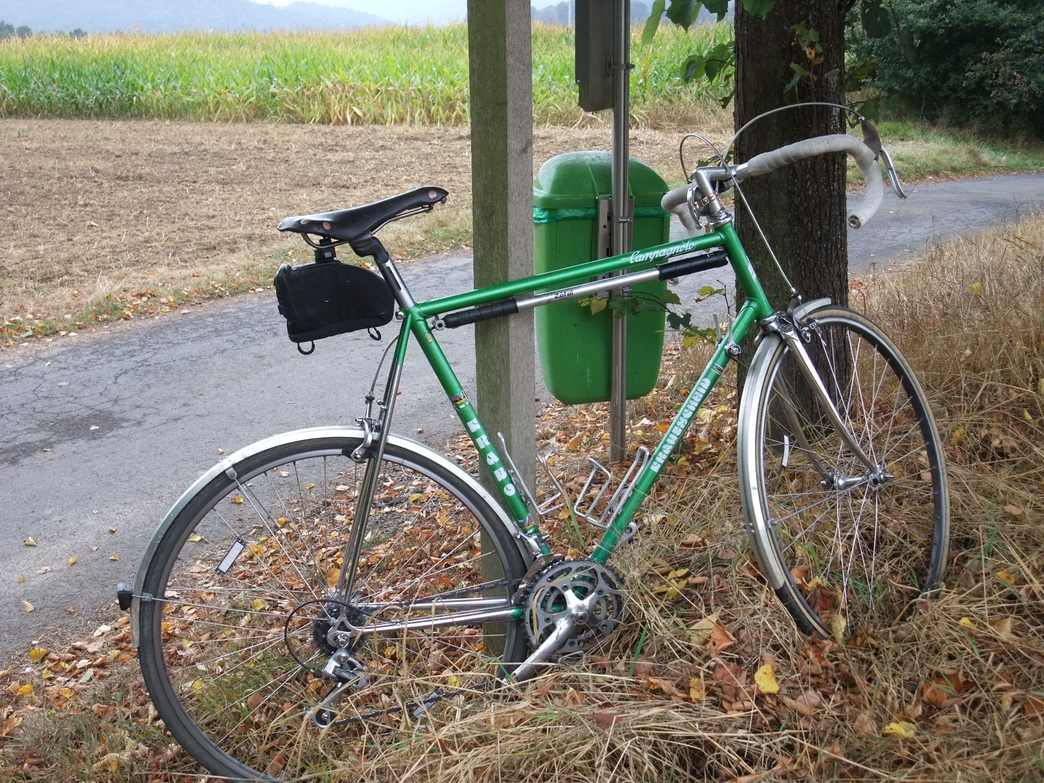 DSCF5297.JPG