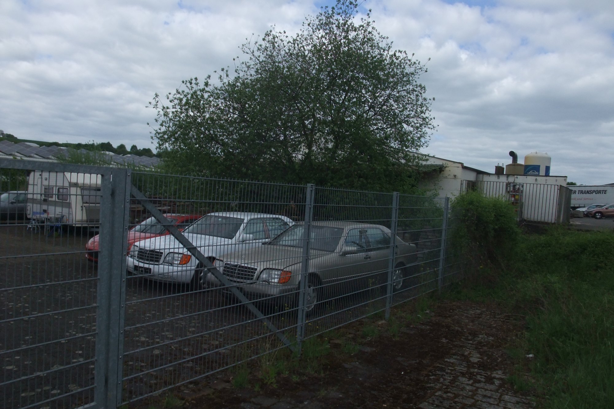 DSCF5413.JPG