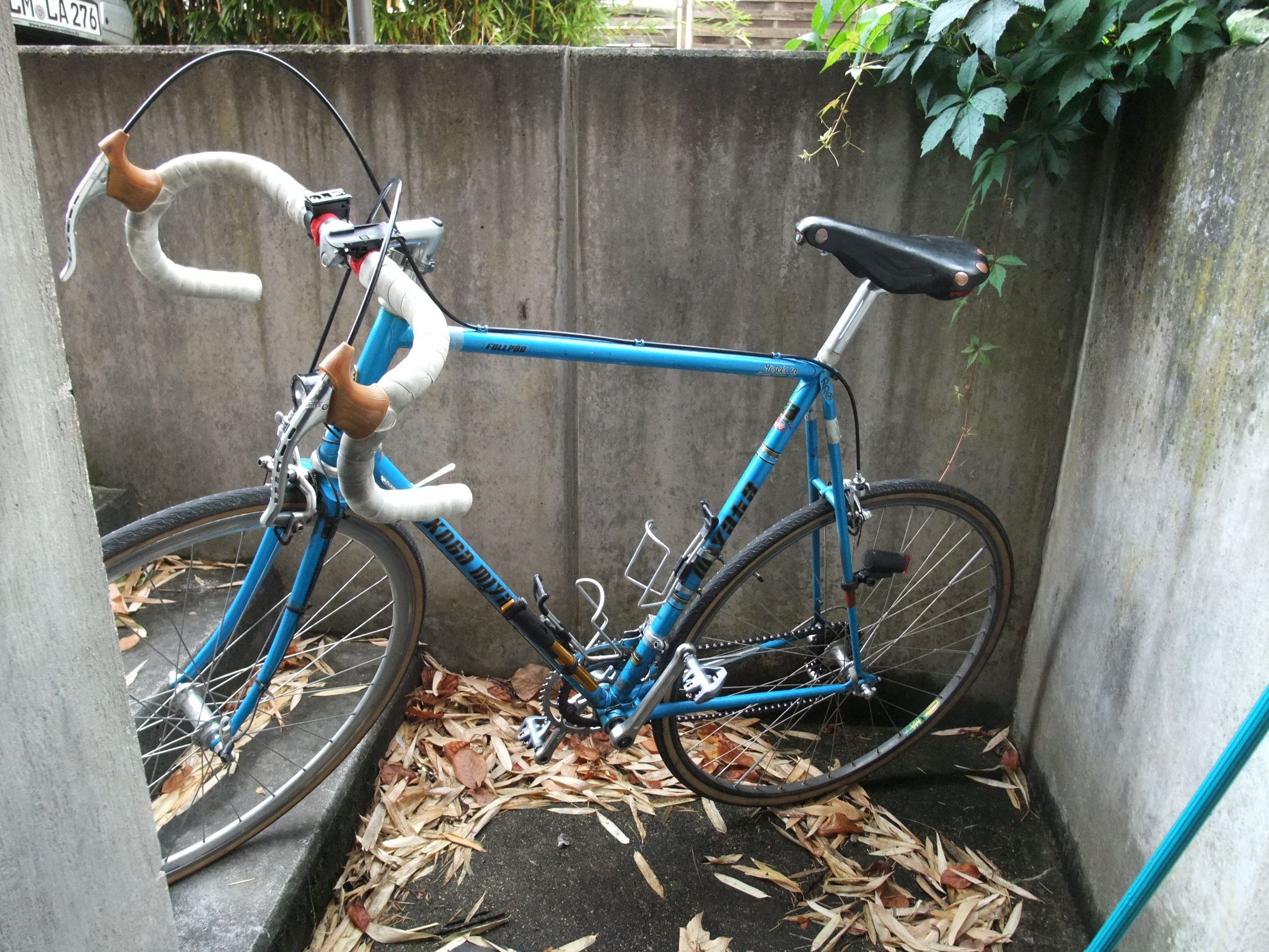 DSCF5516.JPG