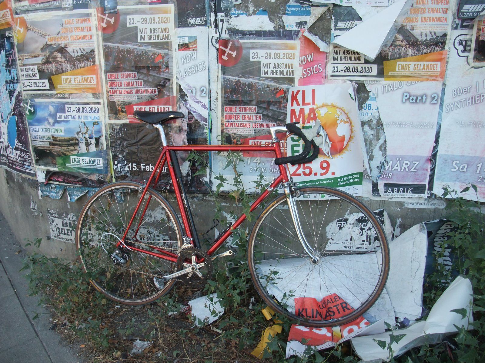 DSCF5534.JPG