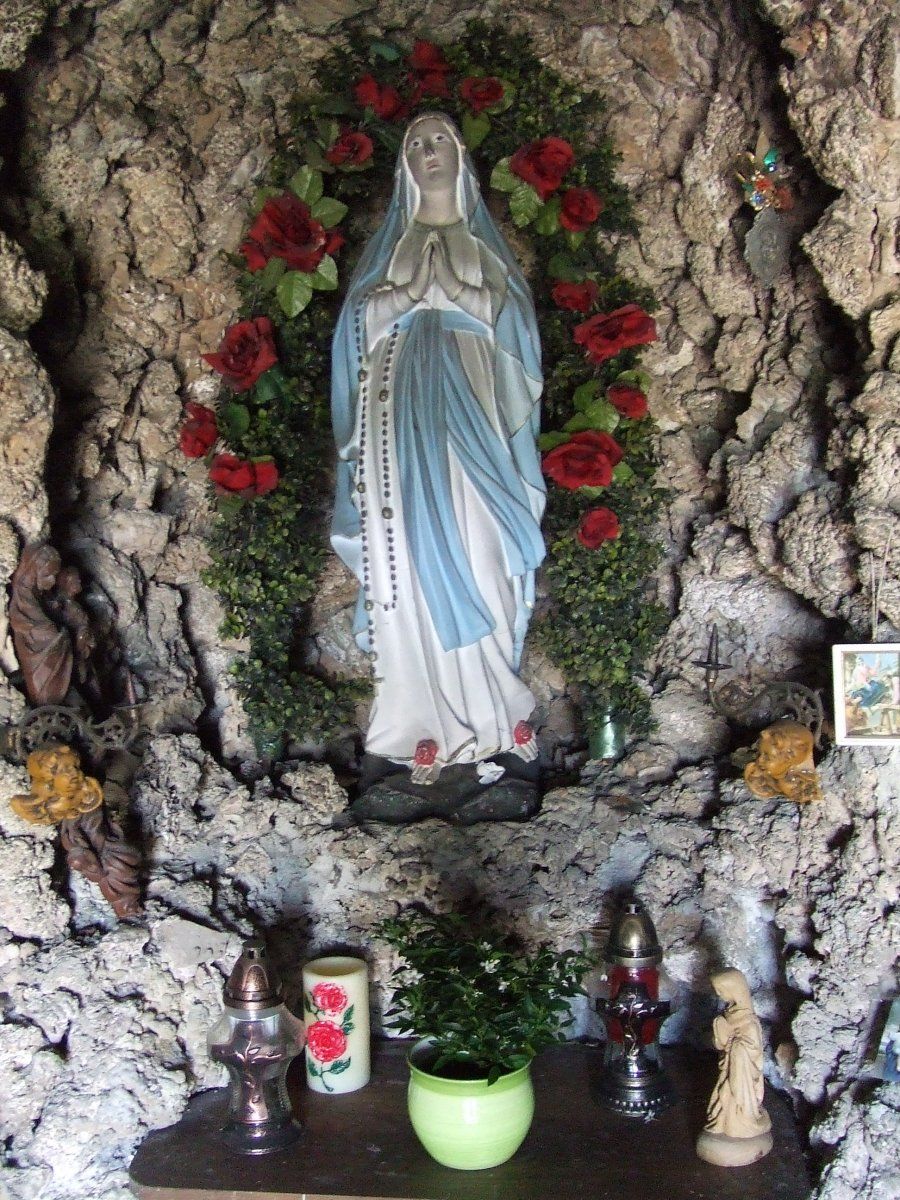 DSCF5553.JPG