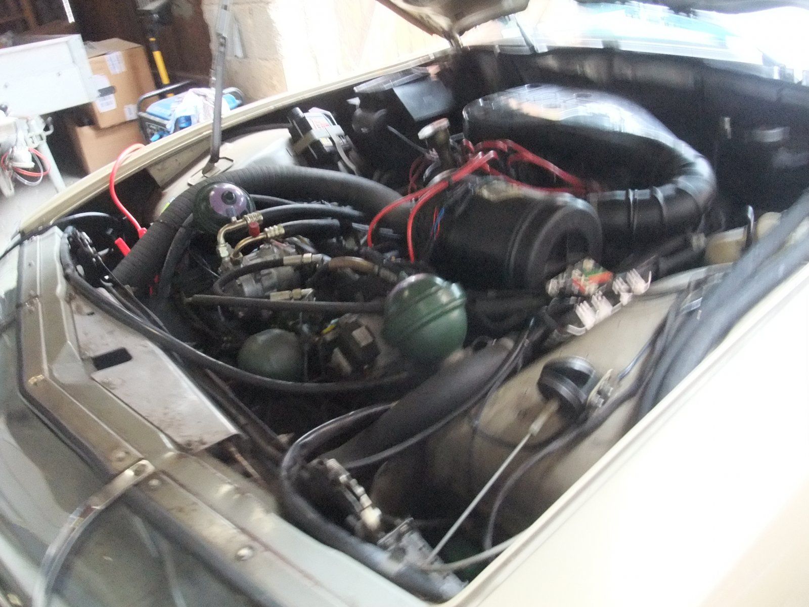 DSCF5709.JPG