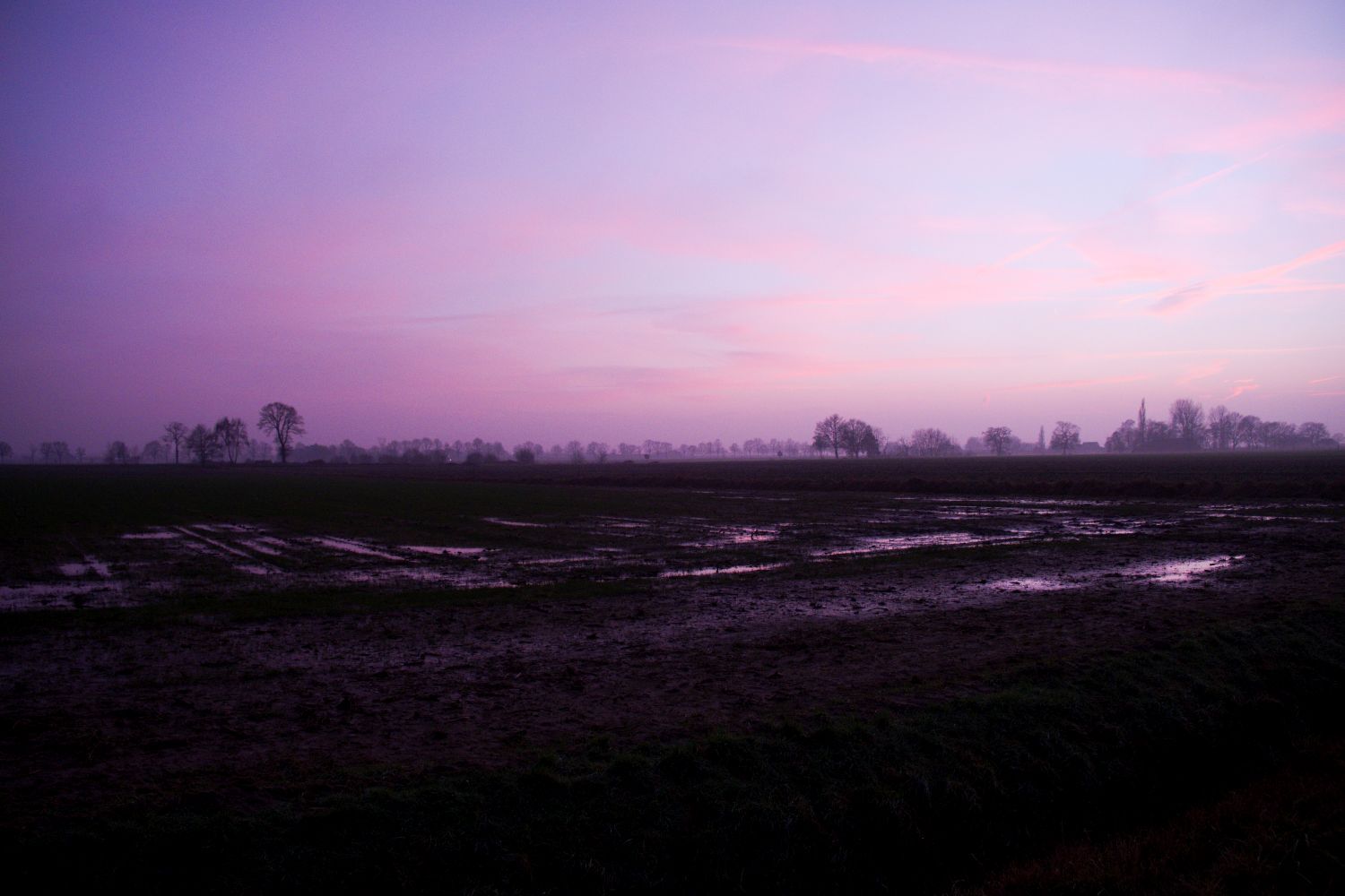 DSCF5715.jpg