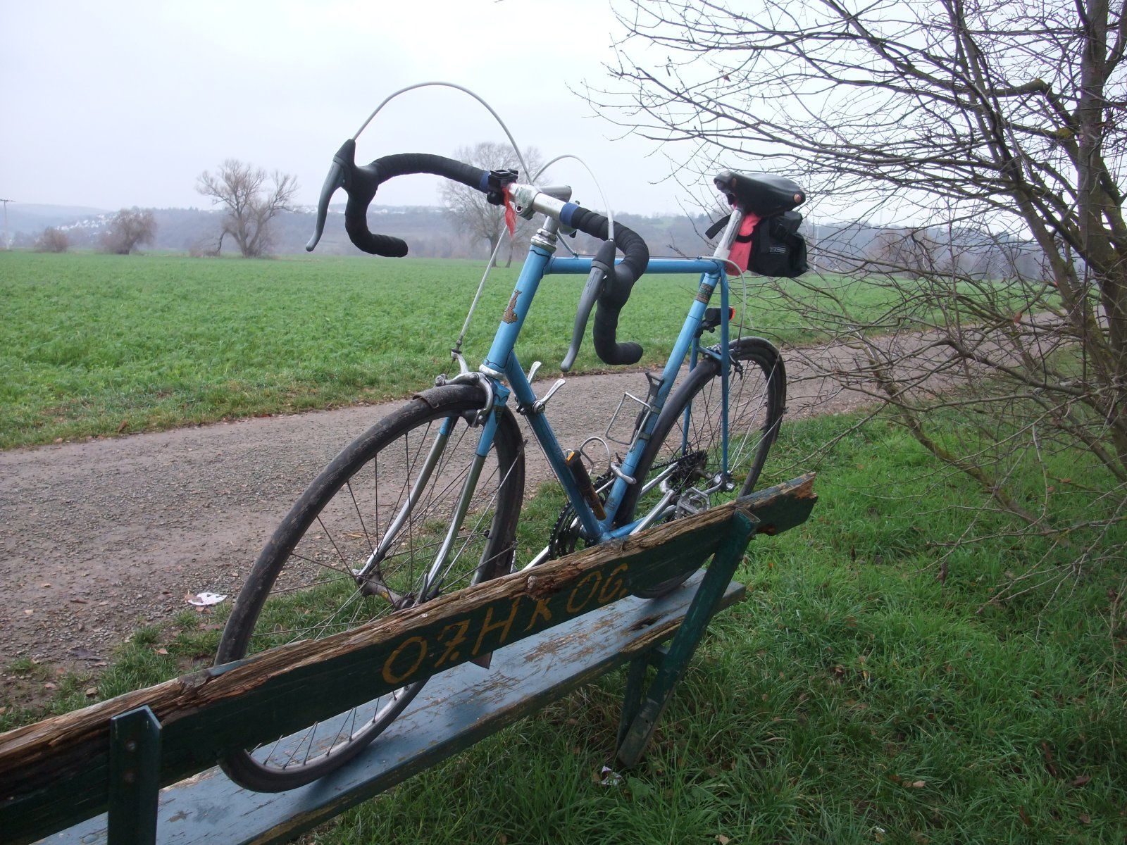 DSCF5767.JPG