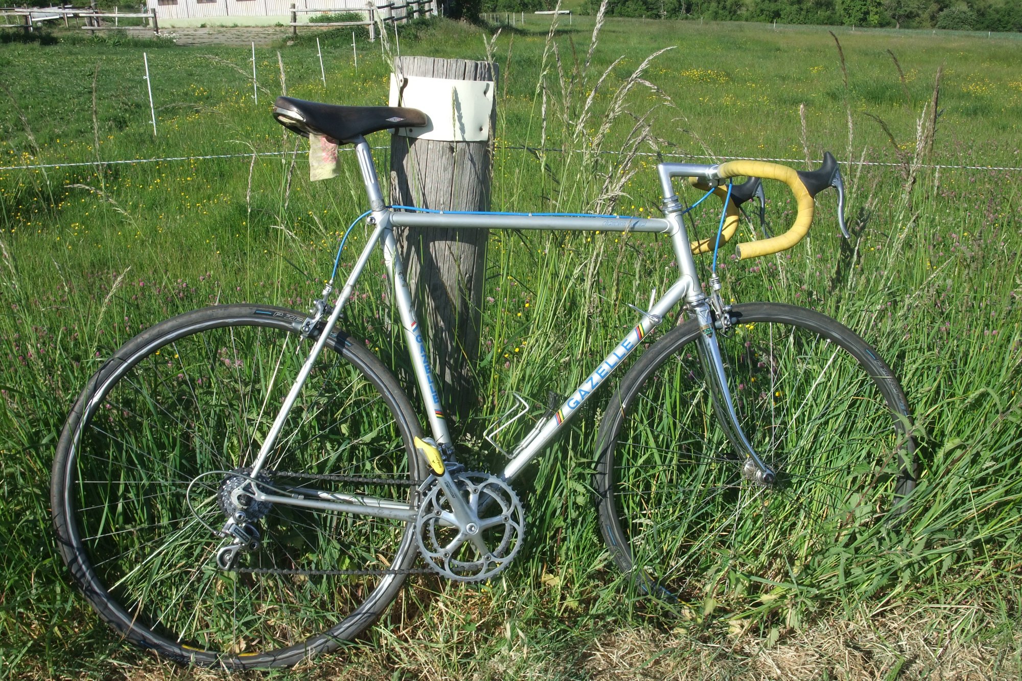 DSCF5879.JPG