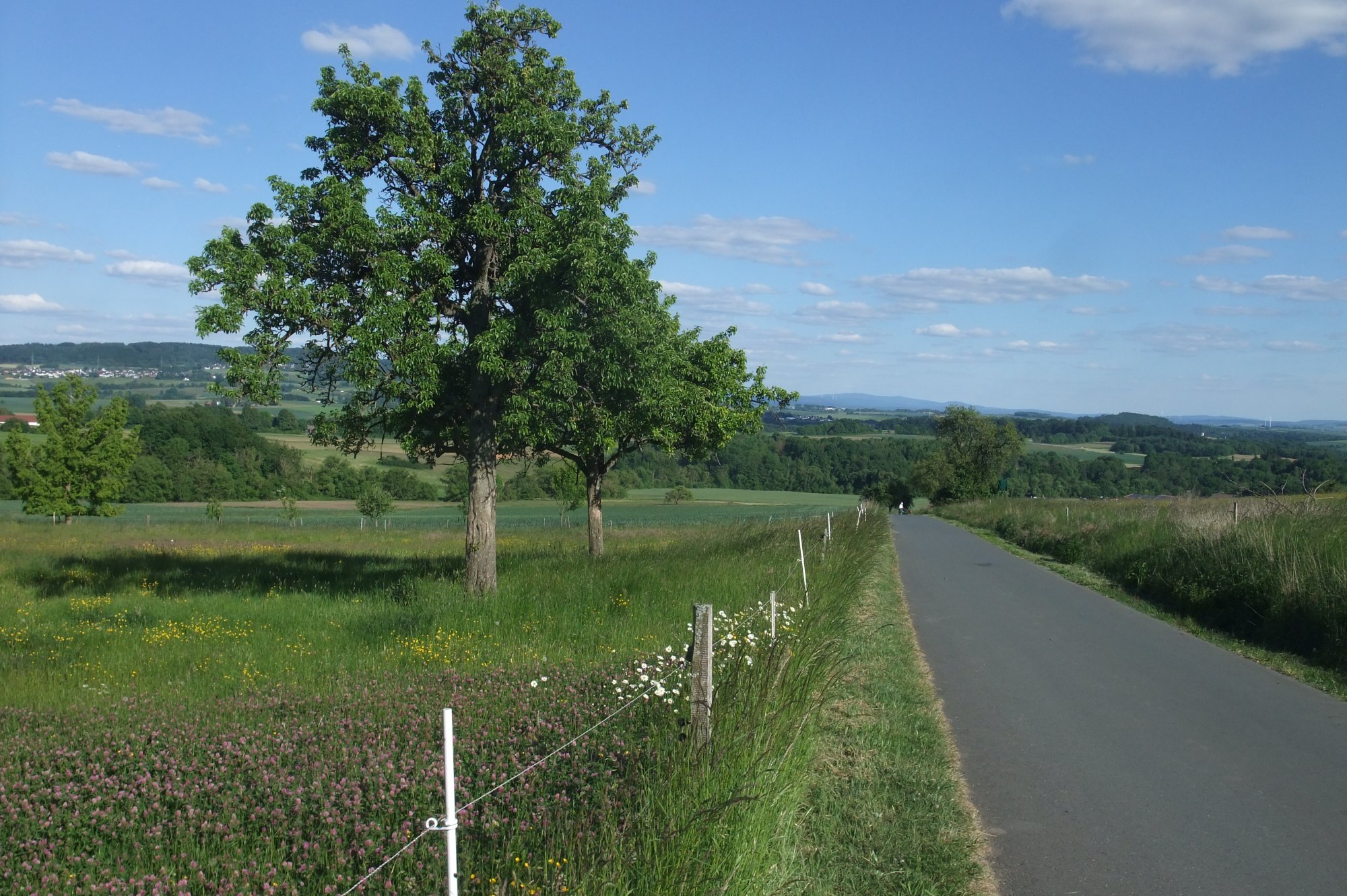 DSCF5884.JPG