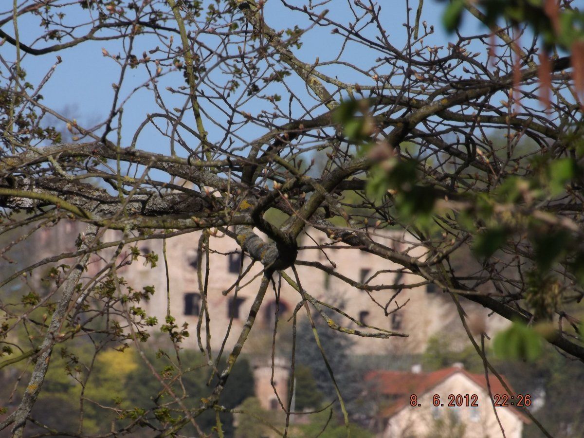 DSCF5959.JPG