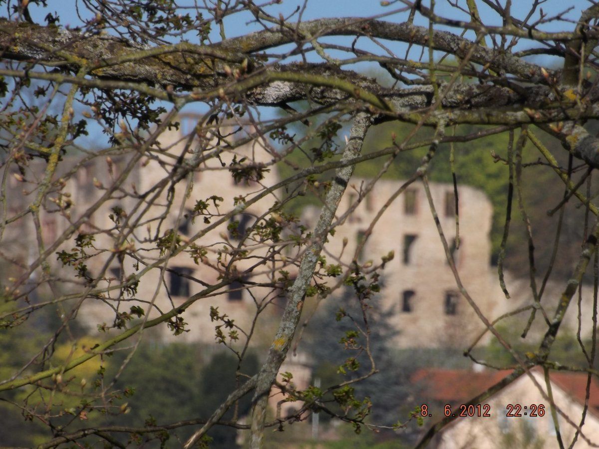 DSCF5960.JPG