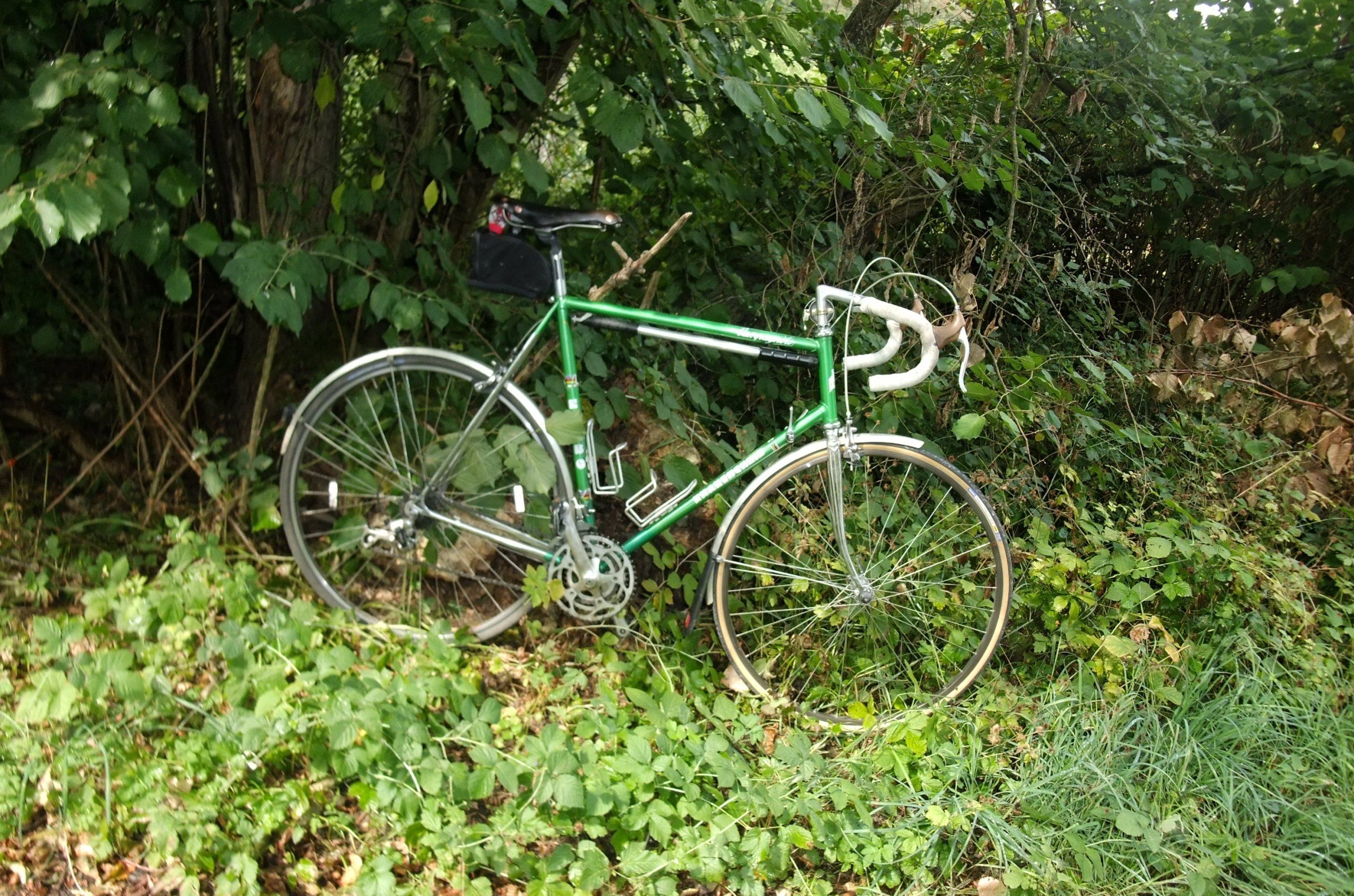 DSCF6005.JPG