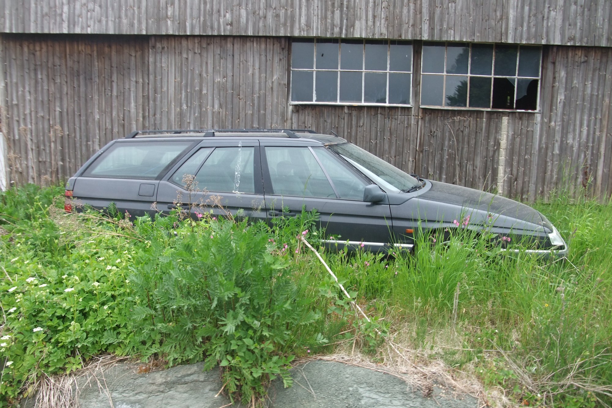 DSCF6114.JPG