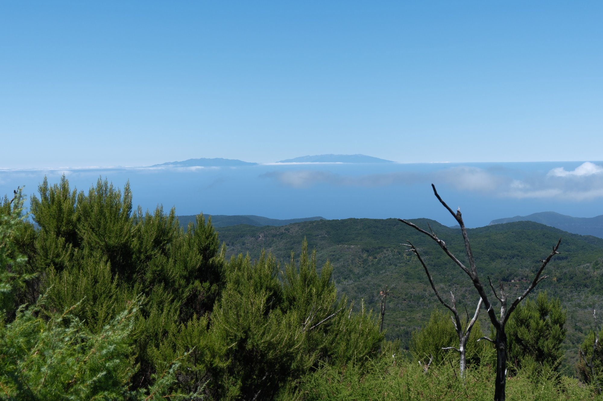 DSCF6131.JPG
