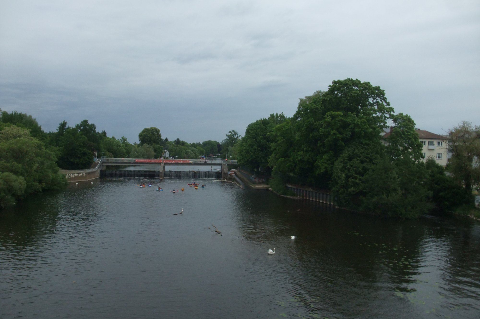 DSCF6135.JPG