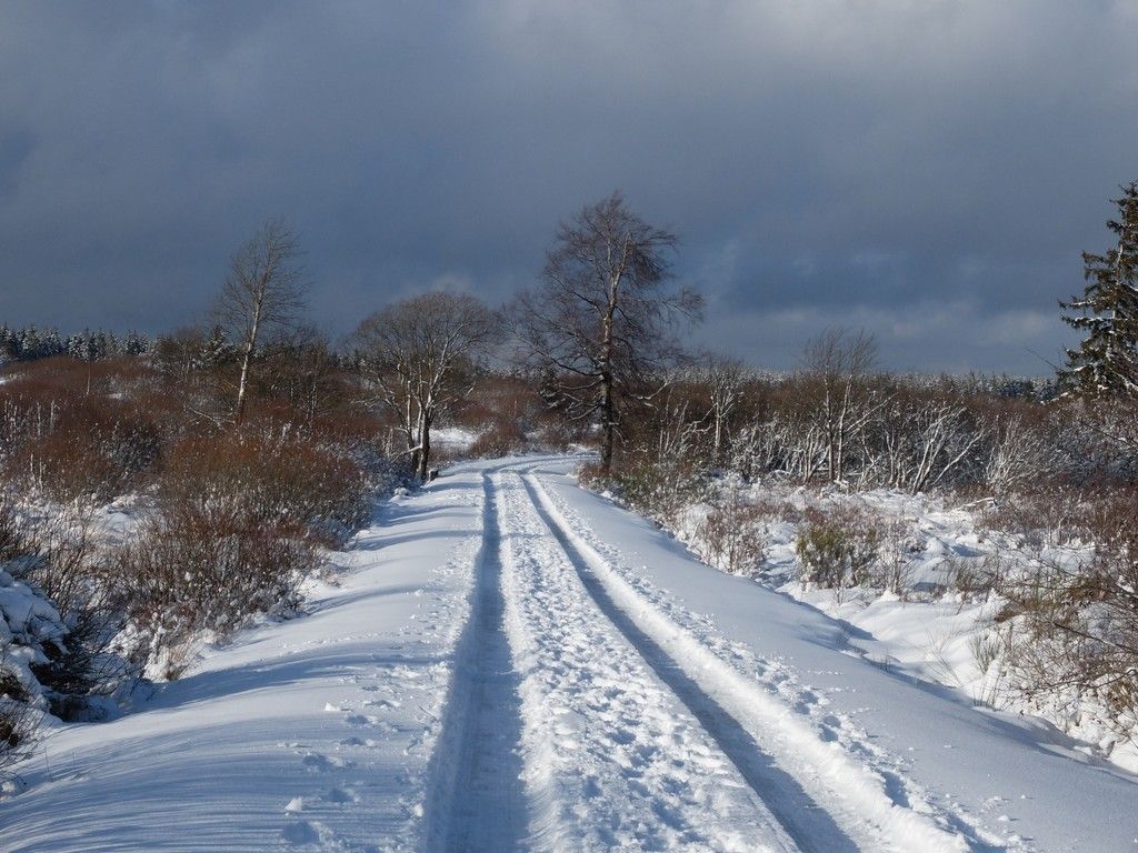 DSCF6135.JPG