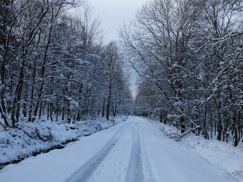 DSCF6138.JPG