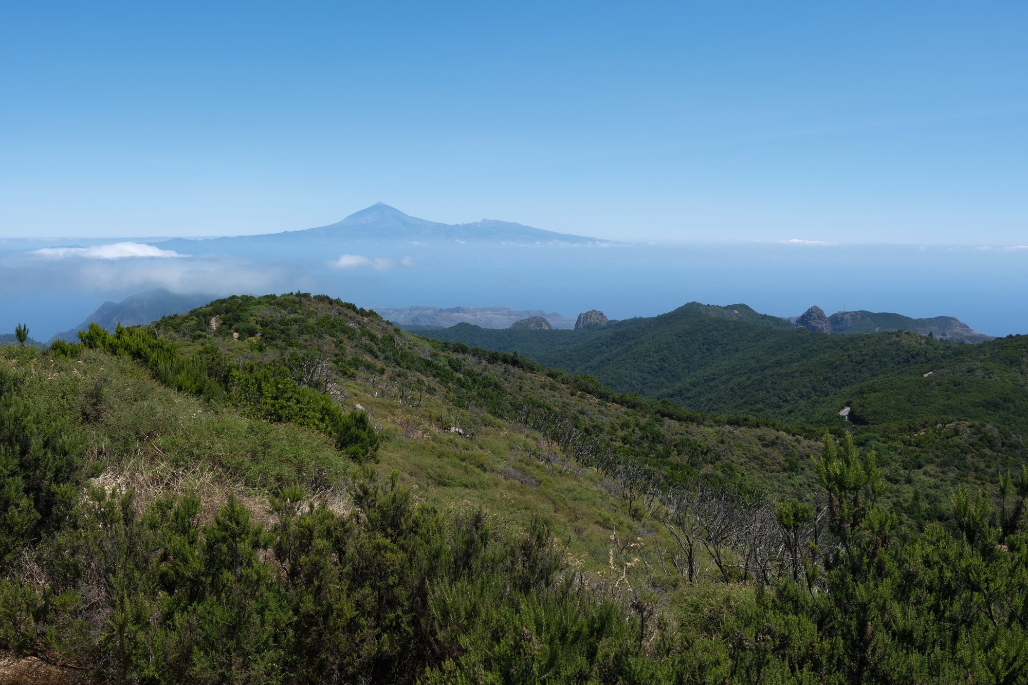 DSCF6140.JPG