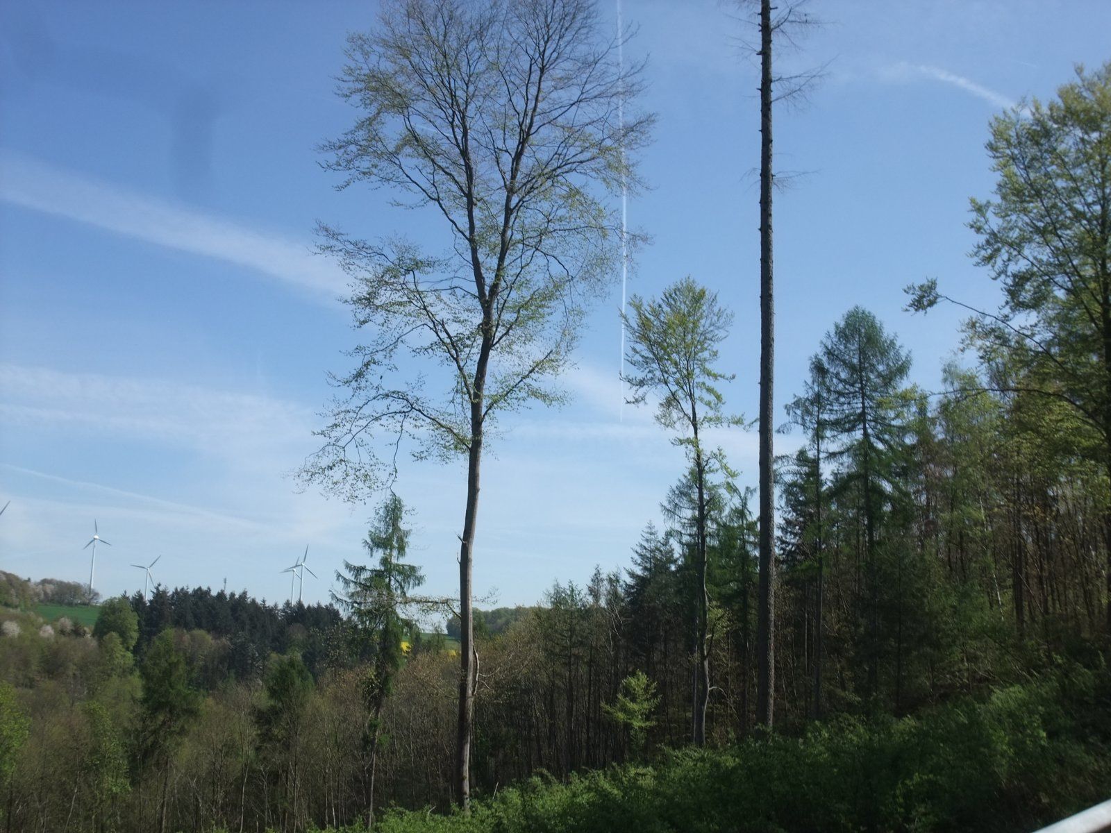 DSCF6157.JPG