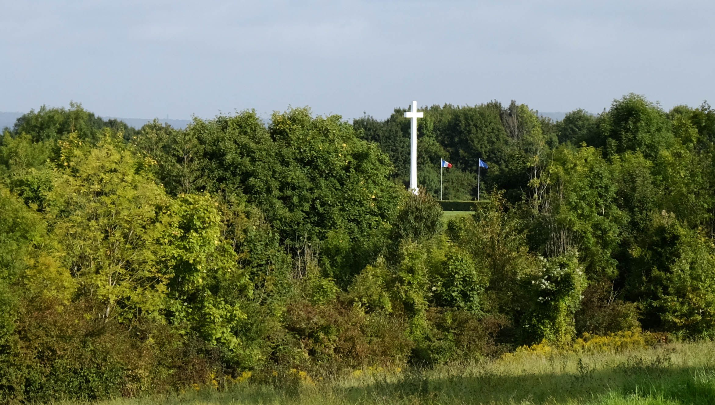 DSCF6170.jpg