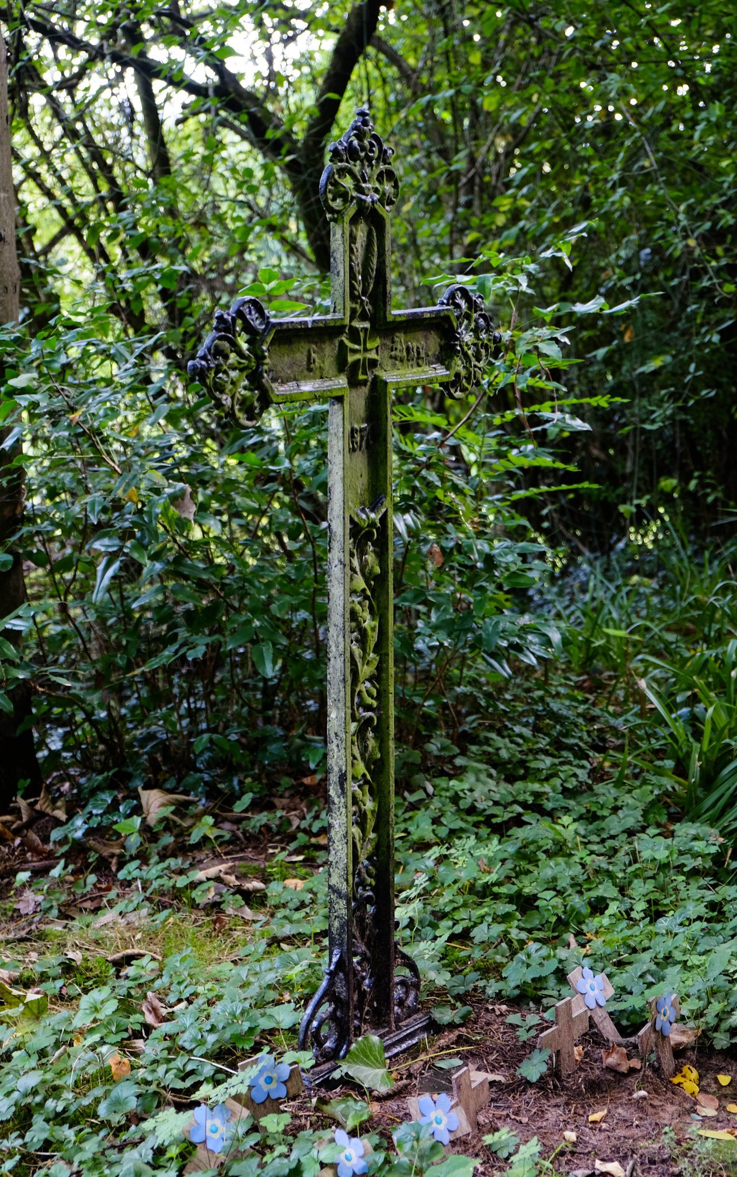 DSCF6181.jpg
