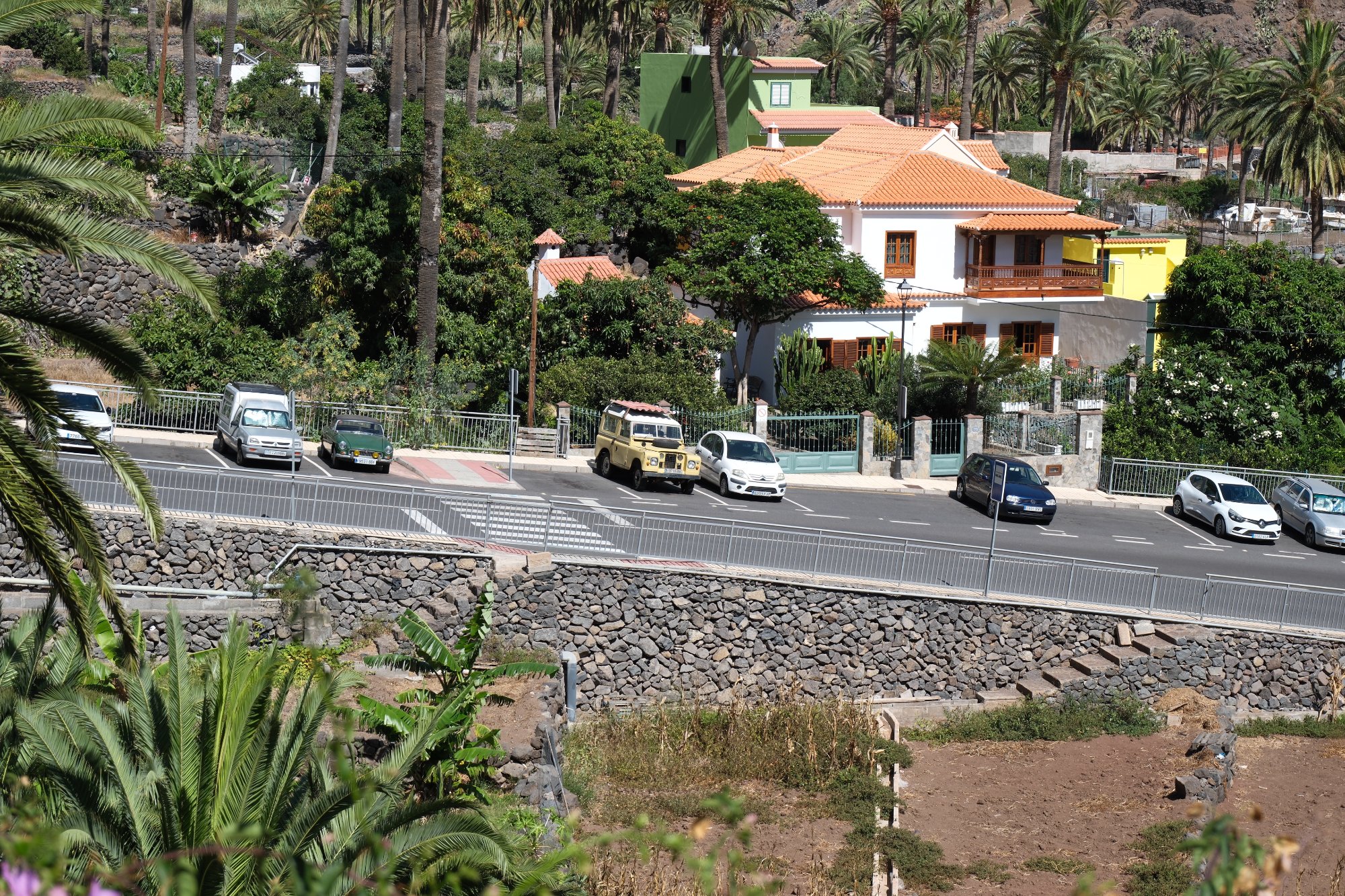 DSCF6205.JPG