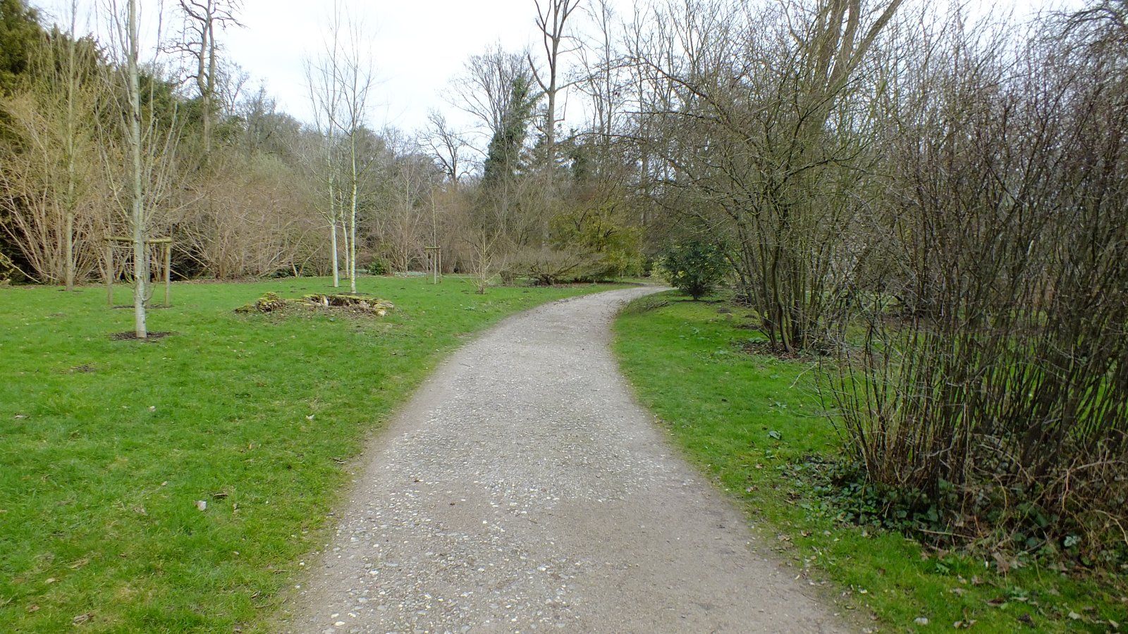 DSCF6222.JPG