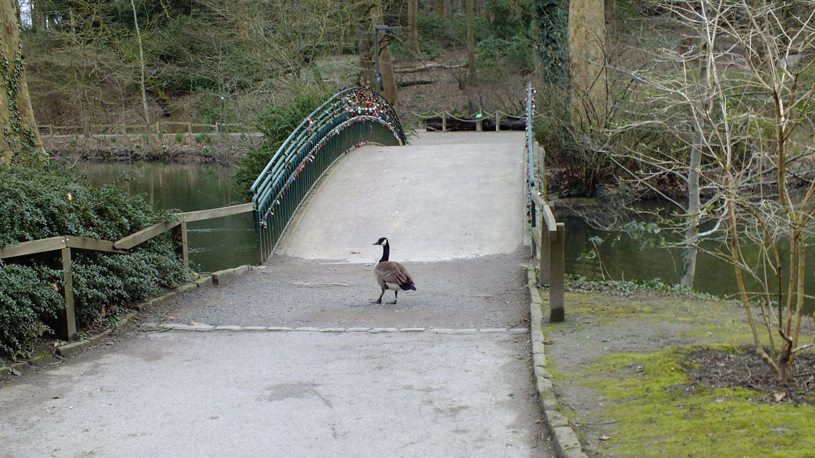 DSCF6233.JPG
