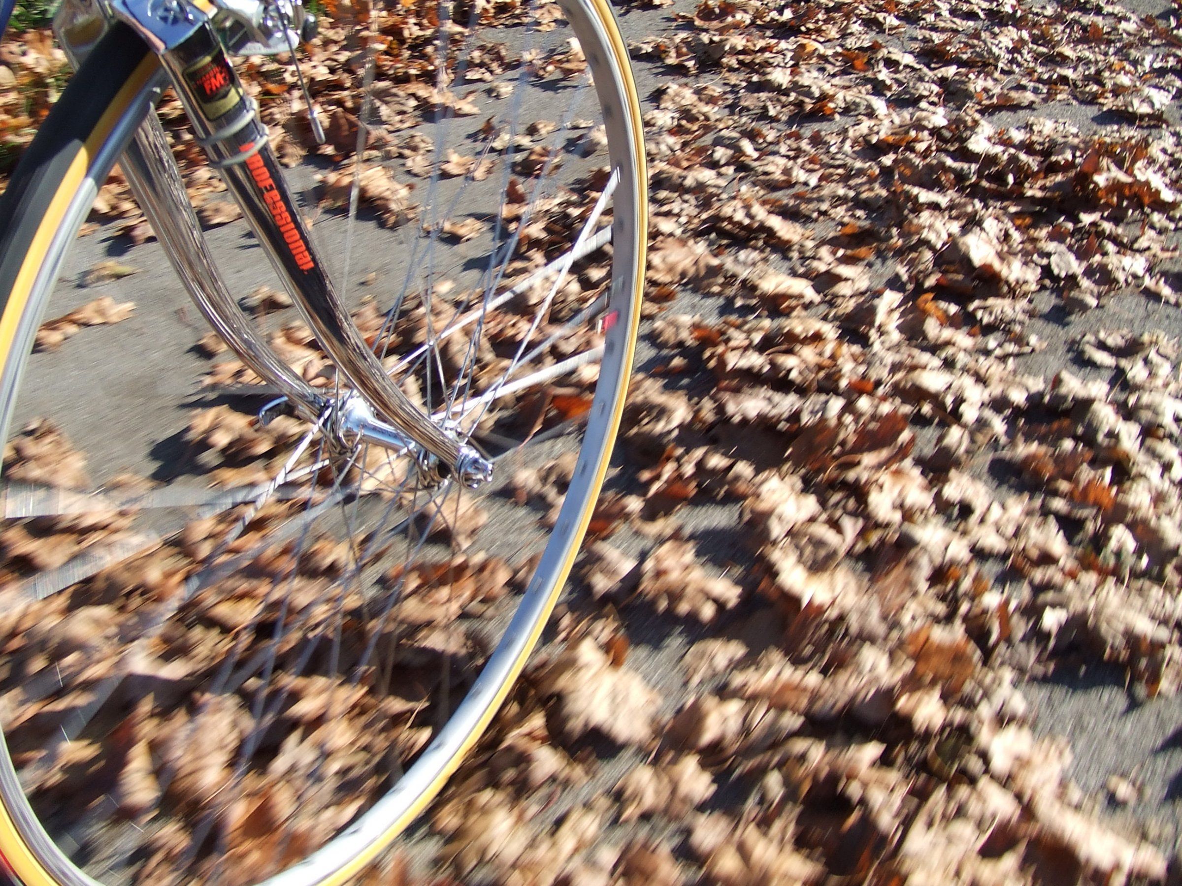 DSCF6269.JPG