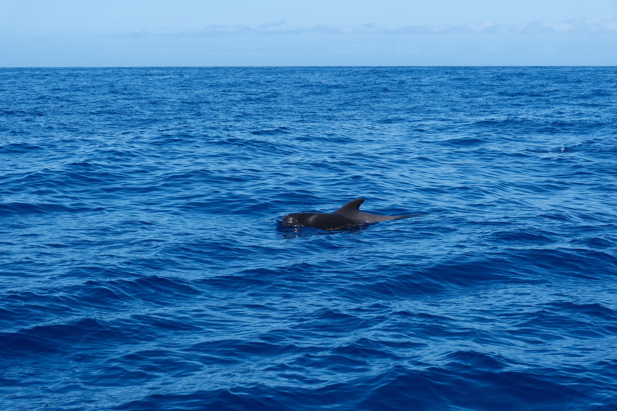 DSCF6317.JPG