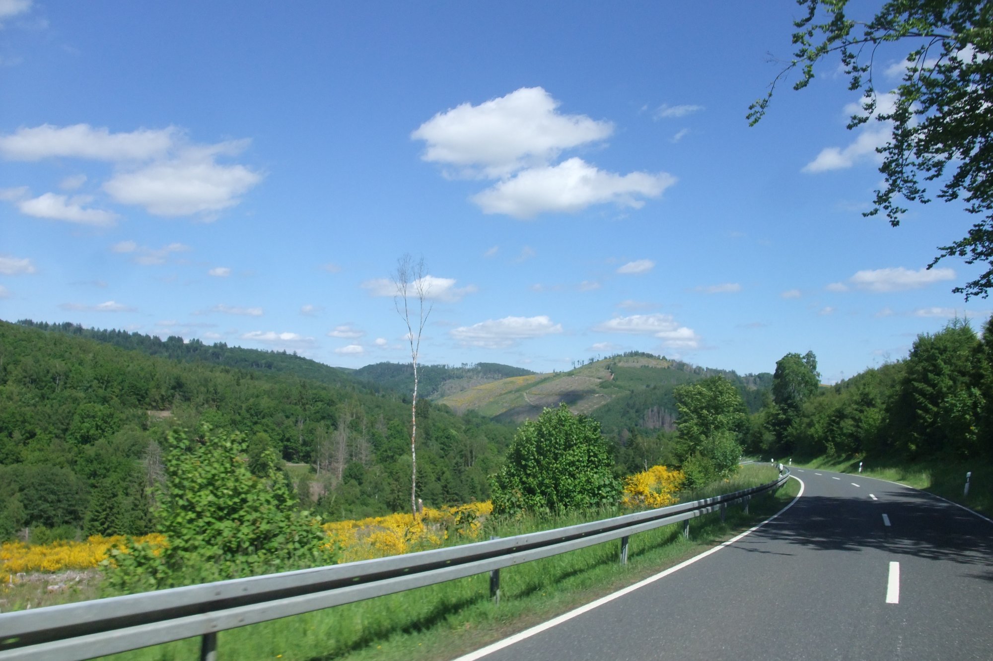 DSCF6359.JPG